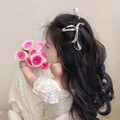 女黑侠木兰花粤语 海报